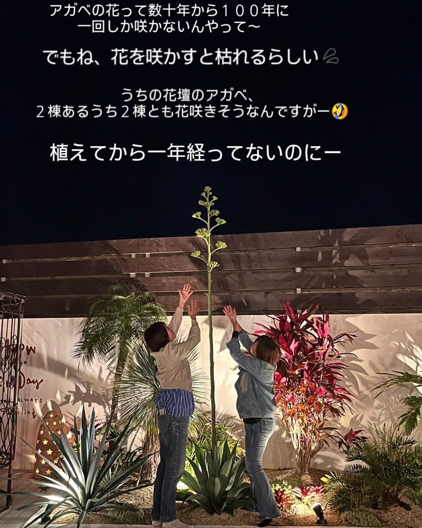 プールヴィラあまはです。