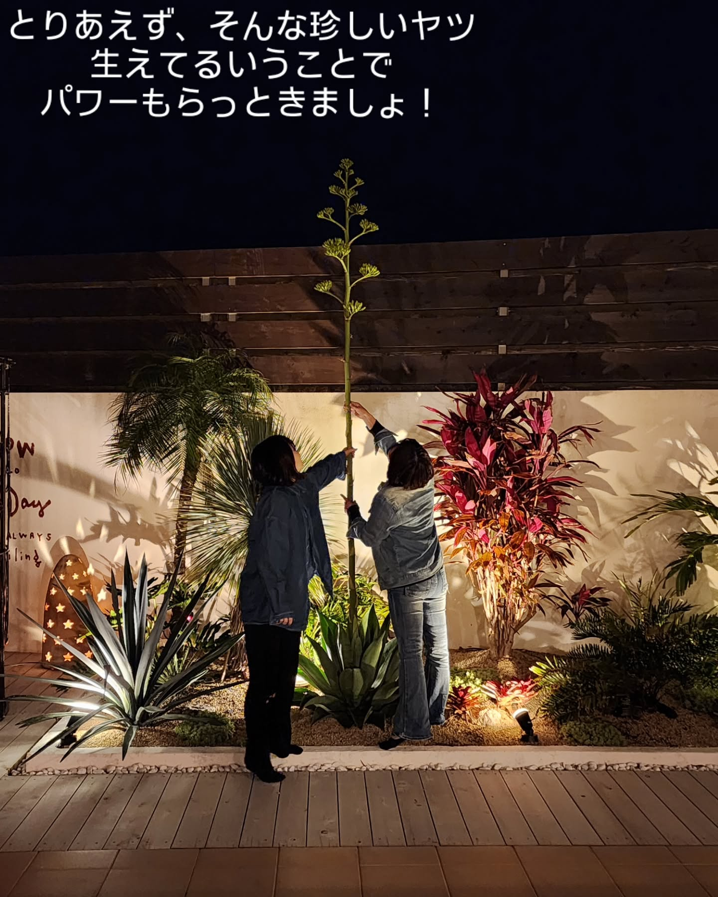 プールヴィラあまはです。