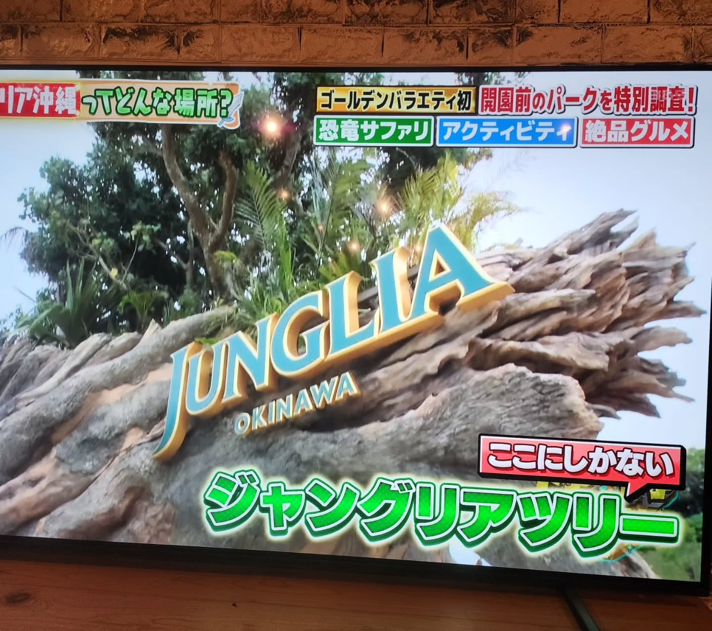 とうとうオープンしましたね！！