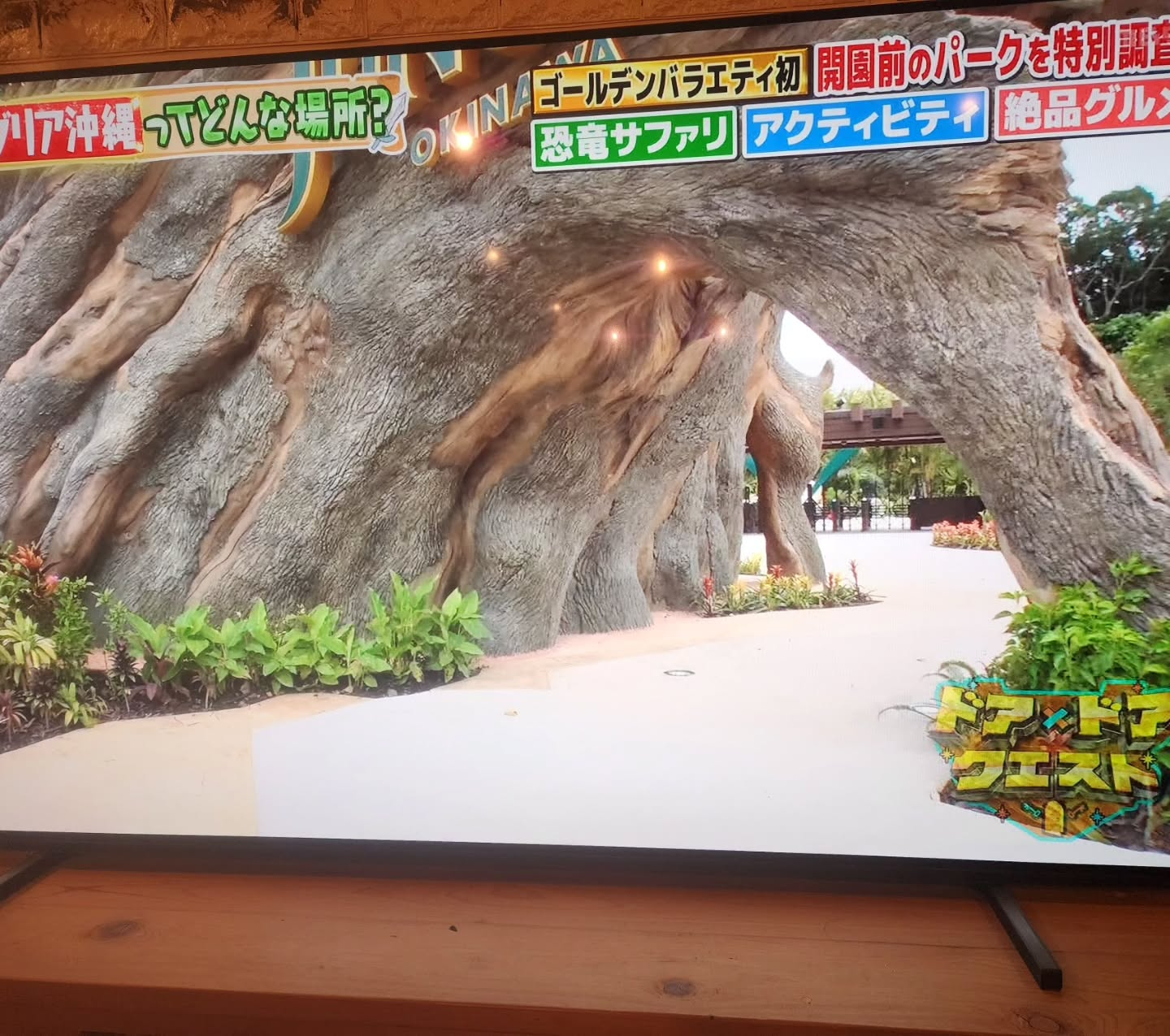 とうとうオープンしましたね！！