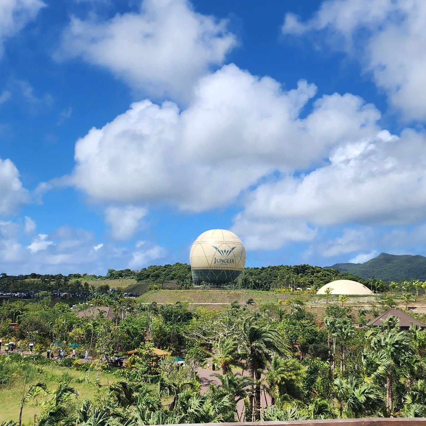 ジャングリア沖縄に偵察に行ってきましたよ!