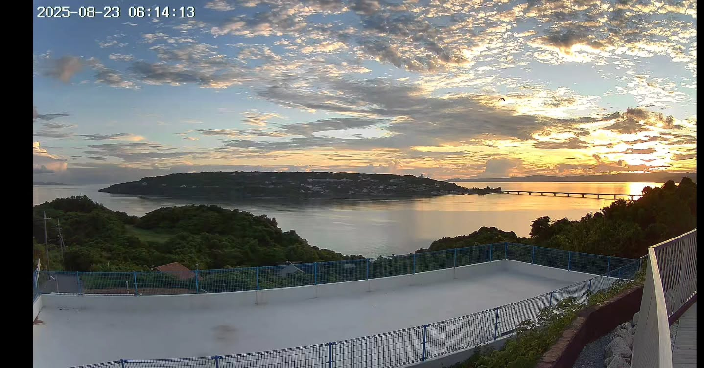 おはようございます。