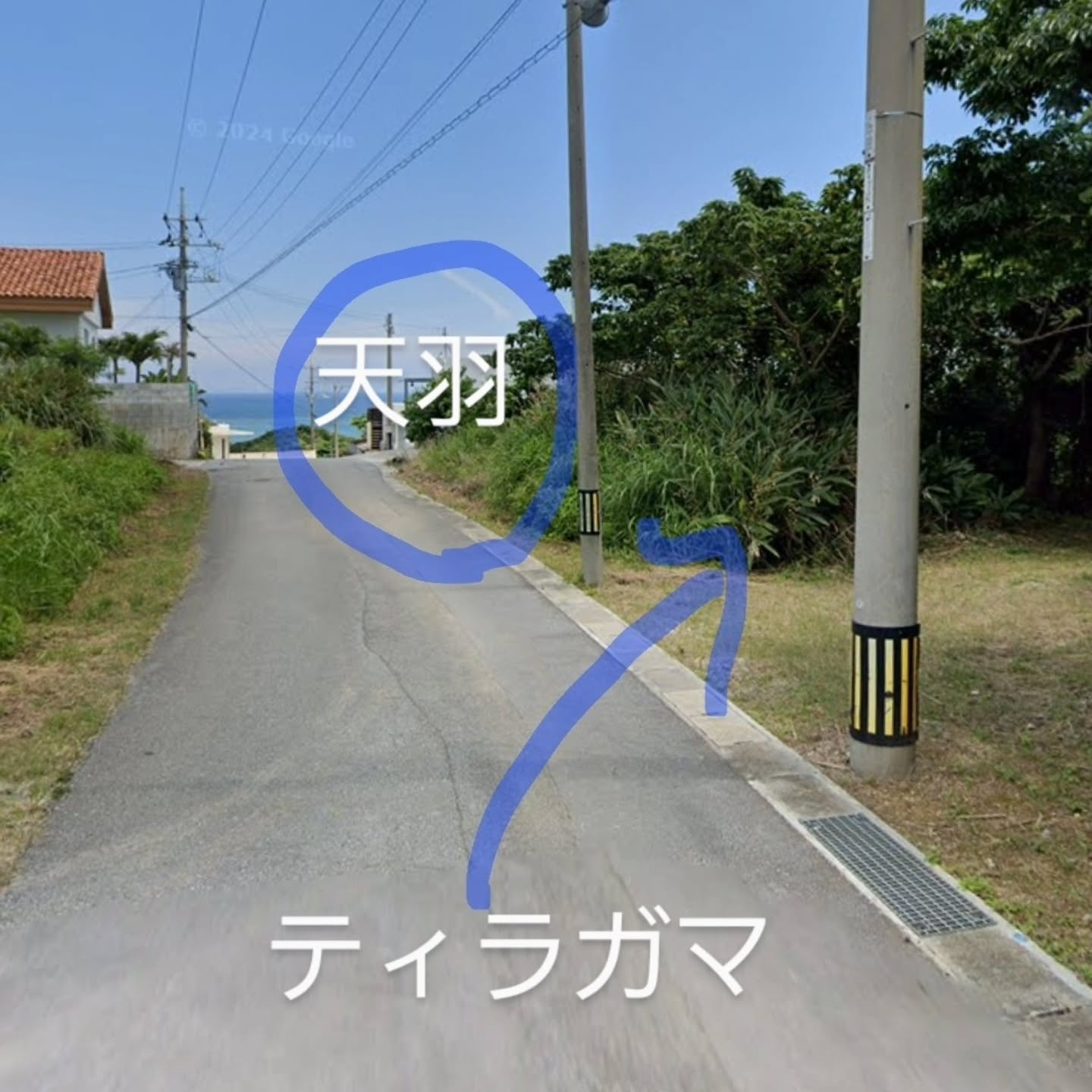 おはようございます。