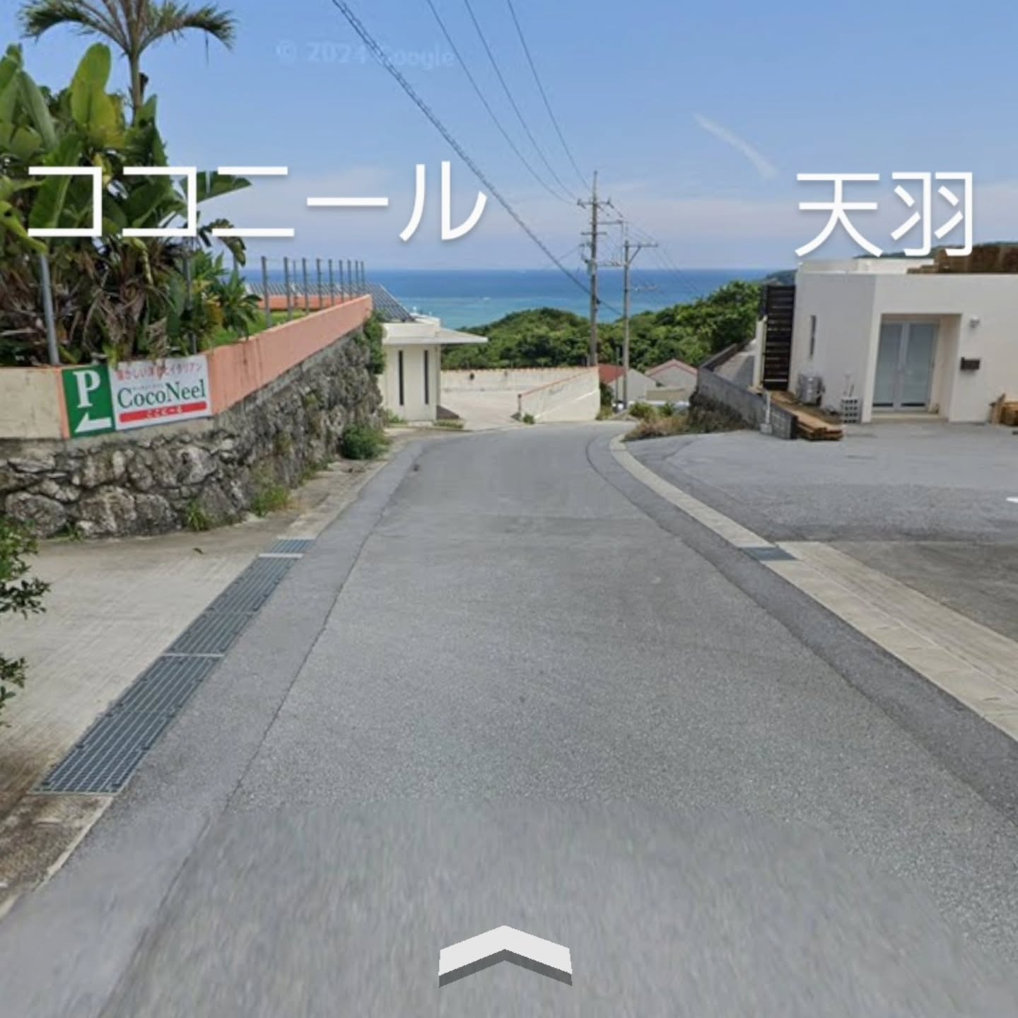 おはようございます。