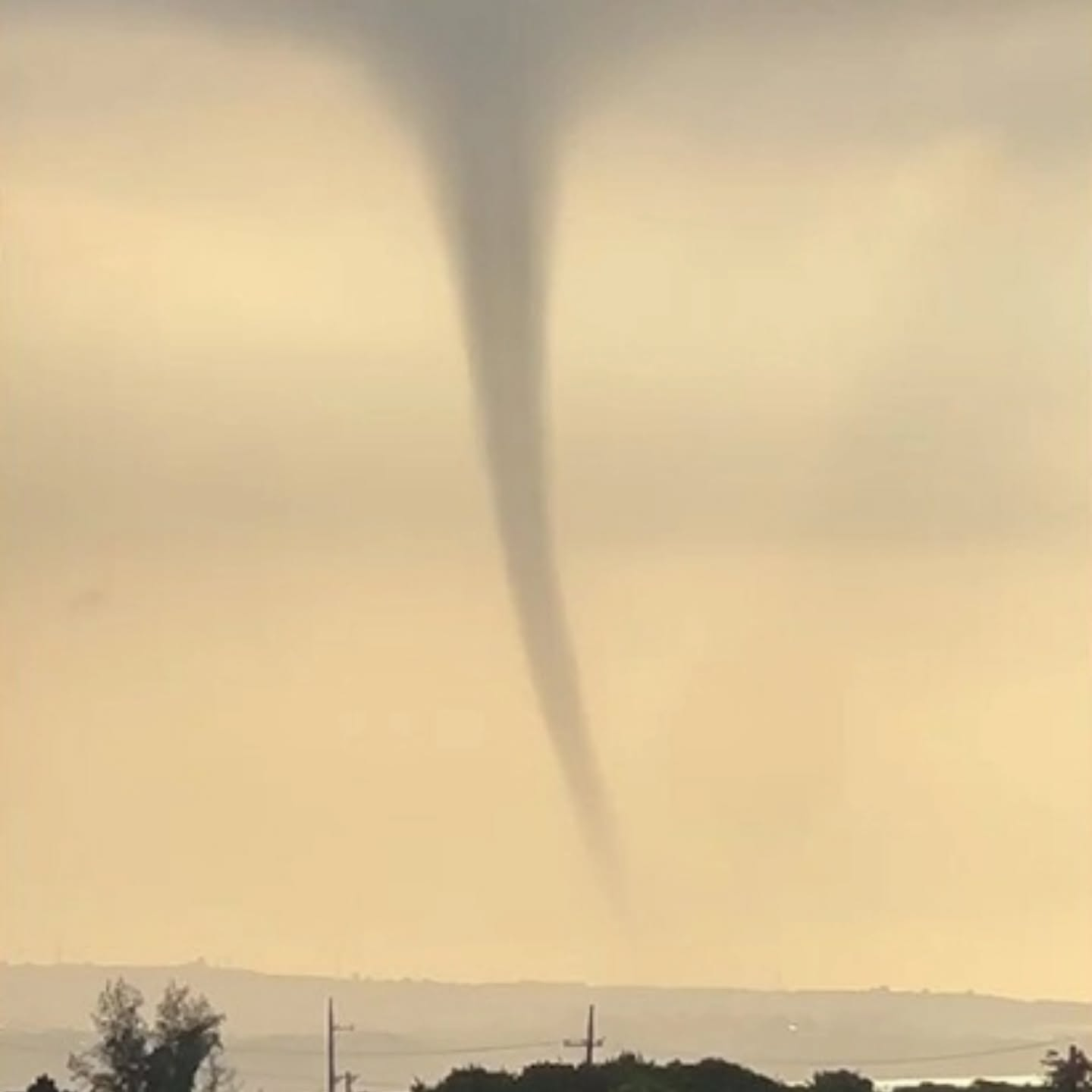 おはようございます。